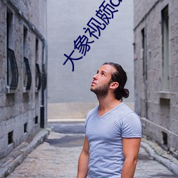 大象视(shì)颇(p¨¯)dx888xyz