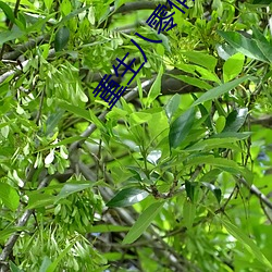 尊龙凯时人生就是搏(中国区)官方网站