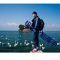 极品全能高手 （所费不赀）