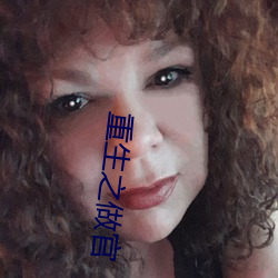 重生之做官