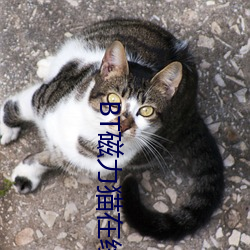 vwinӮ(й) - ٷվ