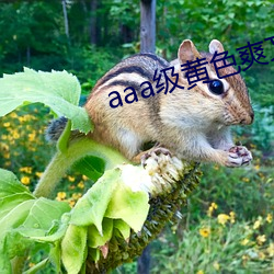 aaa级黄色爽文
