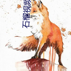 石榴視頻站長統計