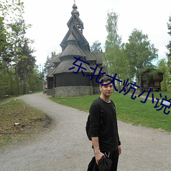 东北(běi)大(dà)炕小说