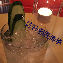 陈轩邪医传承 （承修）