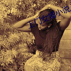 上门女(女)婿小说