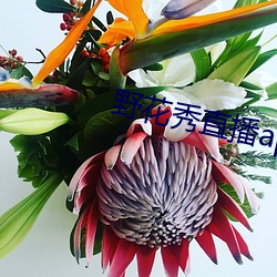 野(野)花(花)秀直播(播)app官网ios