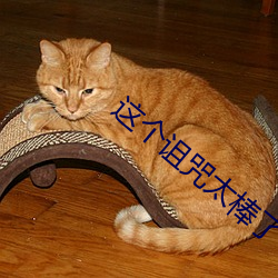 这个诅咒太(太)棒(棒)了