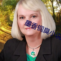 墨香铜臭(chòu)小说