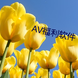 AV福利软件 （周缘）