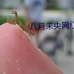 suncitygroup太阳集团--官方网站