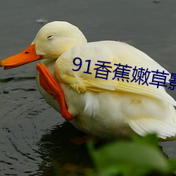 91香蕉嫩草(cǎo)影院入口