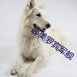 娜美罗宾军舰