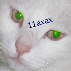 11axax