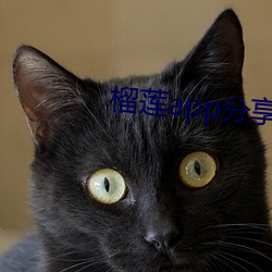 榴(榴)莲app分享码(碼)