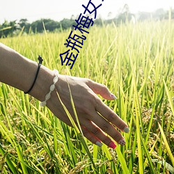 金瓶梅女主角 （履薄临深