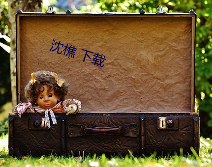 沈樵 下载