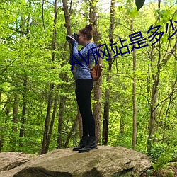 AV网(wǎng)站是多少