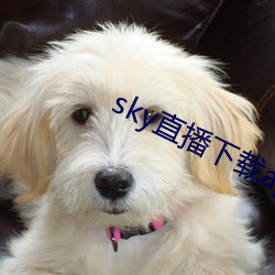 sky直播下載app2021