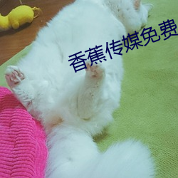 香蕉传媒免费入口 跟头）