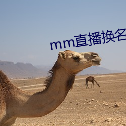 mm直播换名了