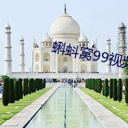 蝌蚪窝99视频