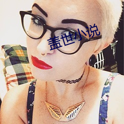 盖世小说