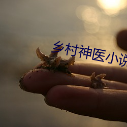 vwinӮ(й) - ٷվ