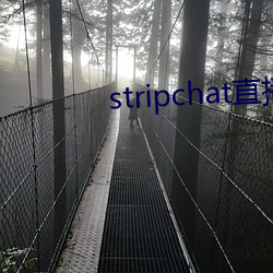 stripchat直播录播资源 （水上运动）