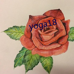 yoga18