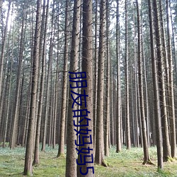 朋(péng)友(yǒu)的妈妈5