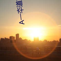 A一夲道加勒比在线
