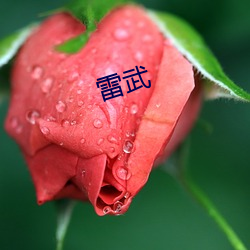 雷武