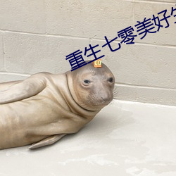重生(生)七(七)零美好(好)生活