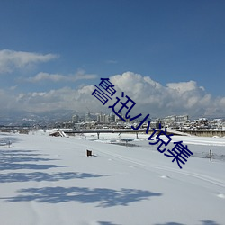 鲁迅小说集