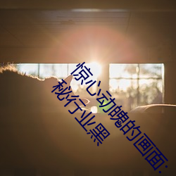 惊心动魄的画面:“张警官吕总撞玻璃视频720p”揭秘行业黑