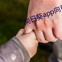 向日(rì)葵app向日(rì)葵(kuí)app