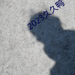 2023久久鴨