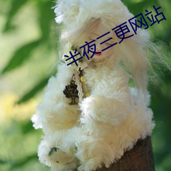 金年会(中国)官方网站