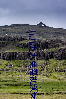 九九(jiǔ)九(jiǔ)九(jiǔ)免费视频安(ān)