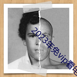 2023年免vip看电视追剧