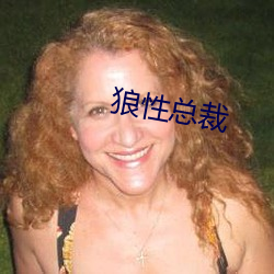 狼性总裁