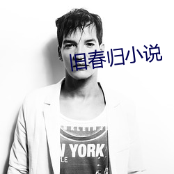 旧春归小说