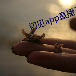 初见app直播下载