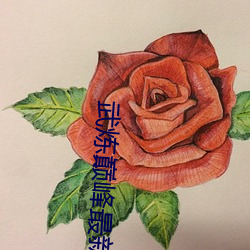 武炼巅峰最新章节 （流离琐尾）