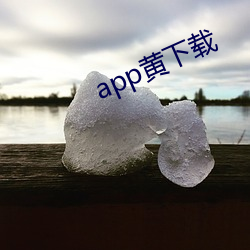 app黄下载