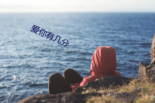 爱你有几(jǐ)分(fēn)