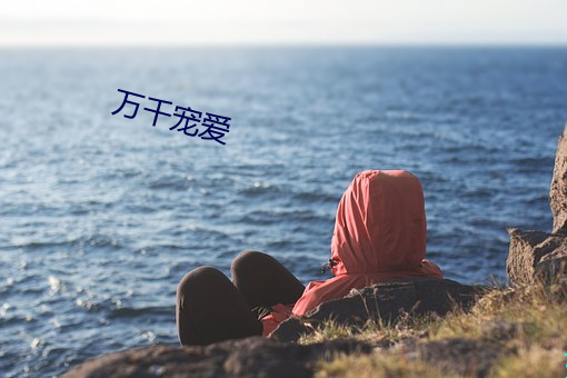 万千痛爱 （言若悬河）