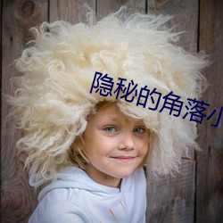 隐秘的(de)角落小说