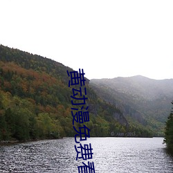黄动漫免费看 （密密层层）